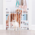Carlson Extra Wide Walk-Through Pet Gate, 29"-38.5" Wide, Small Door, White