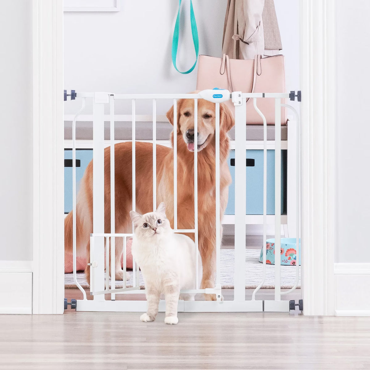 Carlson Extra Wide Walk-Through Pet Gate, 29"-38.5" Wide, Small Door, White
