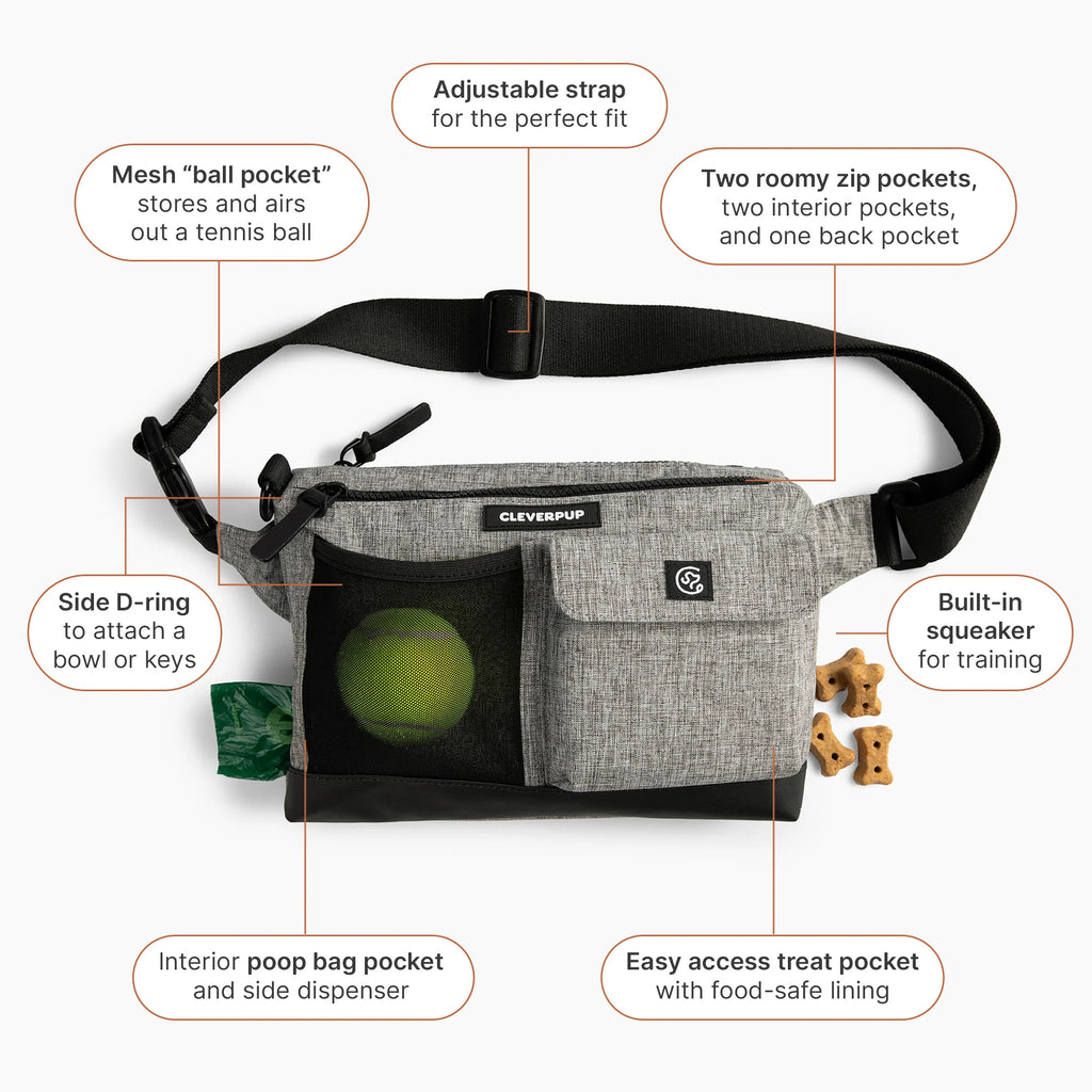 Dog Walk & Train Sling Bag