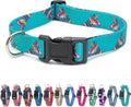 Animal Bug Themed Dog Collar (Unicorn, Large)