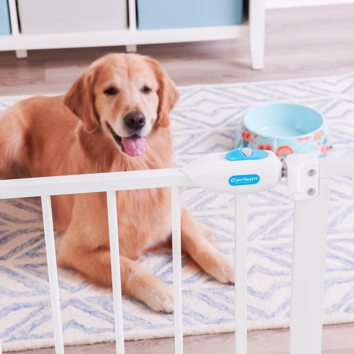 Carlson Extra Wide Walk-Through Pet Gate, 29"-38.5" Wide, Small Door, White