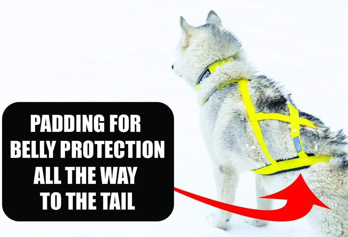 Pro Sled Dog Harness (Pink, Xx-Large (Neck 21 Chest 36 Back 25))