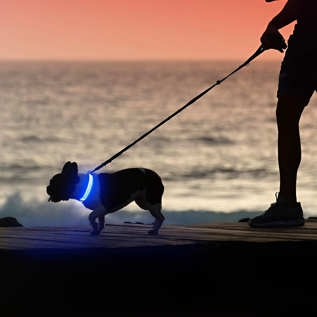 Illuminate Your Walks: USB Rechargeable LED Dog Collar - Glow in the Dark Safety Collar for Medium Pets (BlueⅢ)