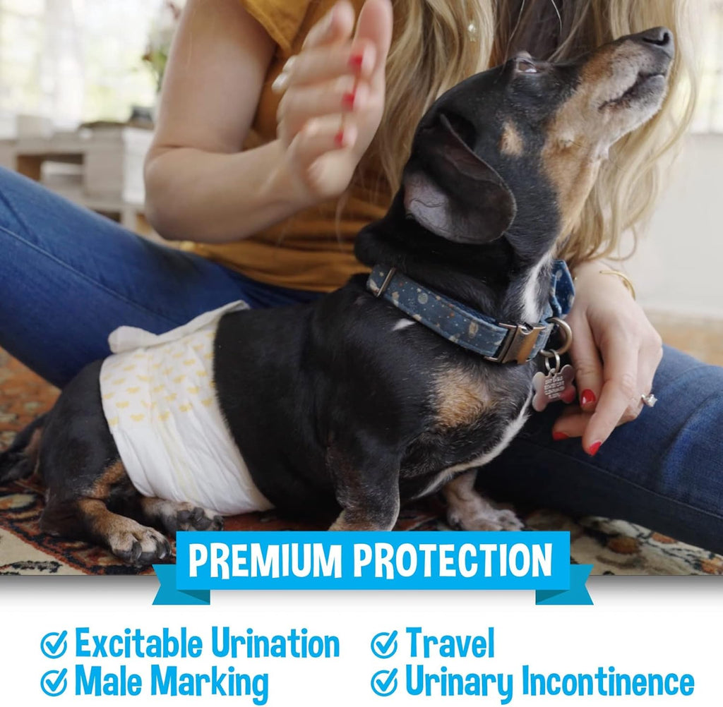 Super Absorbent Disposable Male Dog Diapers - Leak-Proof Pee Wraps for Small Breeds - Adjustable Fit with Wetness Indicator - 20 Count
