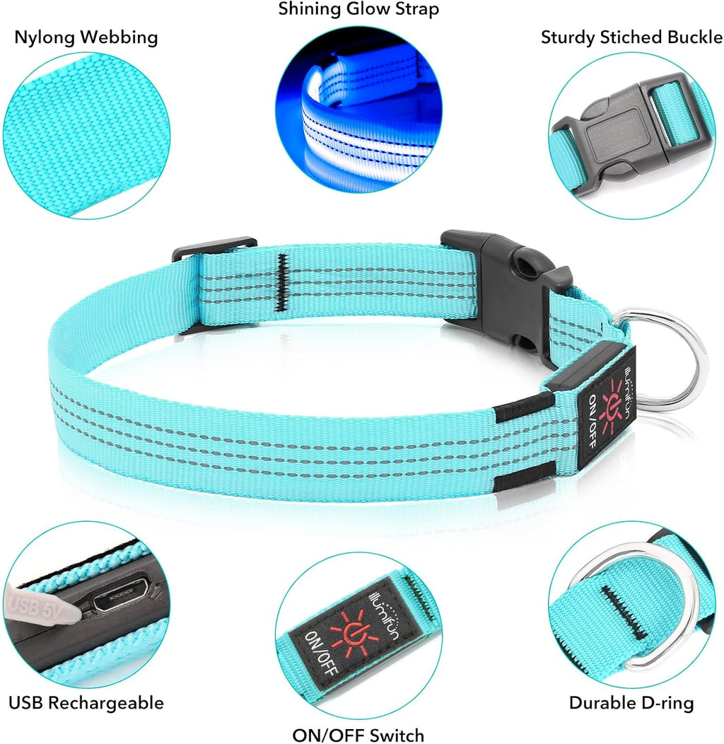 Illuminate Your Walks: USB Rechargeable LED Dog Collar - Glow in the Dark Safety Collar for Medium Pets (BlueⅢ)