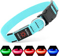 Illuminate Your Walks: USB Rechargeable LED Dog Collar - Glow in the Dark Safety Collar for Medium Pets (BlueⅢ)