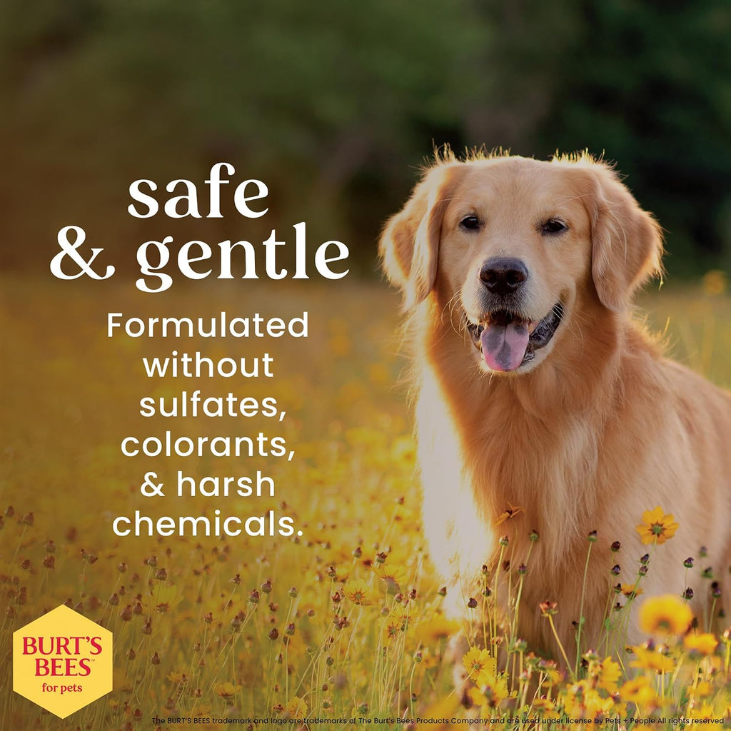 Gentle Deodorizing Dog Shampoo with Apple & Rosemary – 16 Oz, 2-Pack for Fresh and Clean Coats