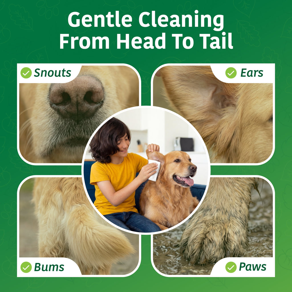 Deodorising pet wipes for dogs and cats