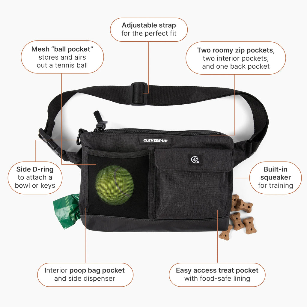 Dog Walk & Train Sling Bag