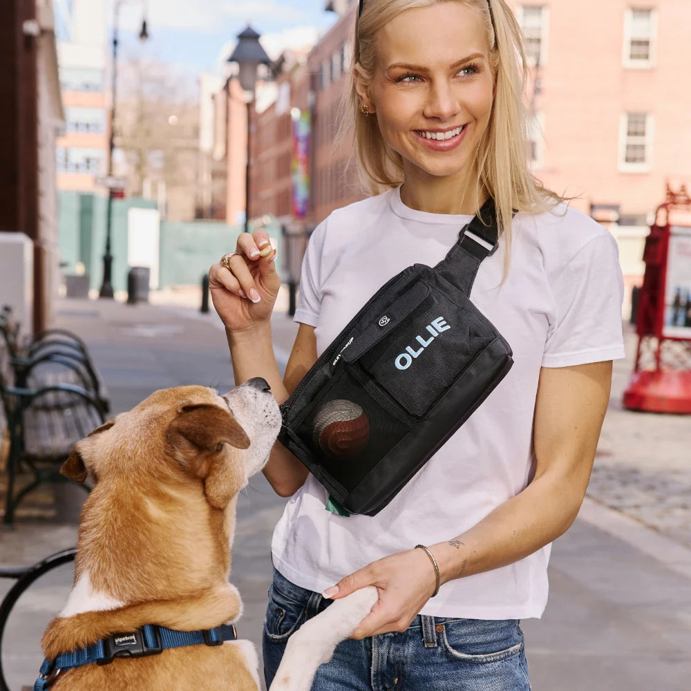 Dog Walk & Train Sling Bag